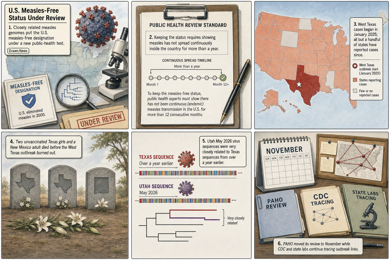 Drawn.News visual brief: Measles genomes trigger U.S. status review